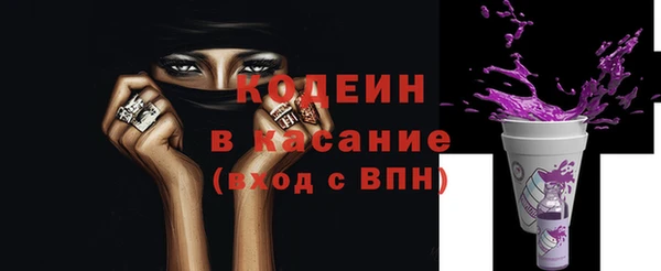 шишки Белоозёрский
