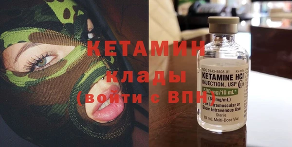 шишки Белоозёрский