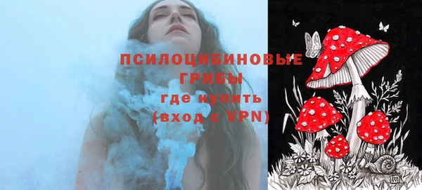 шишки Белоозёрский